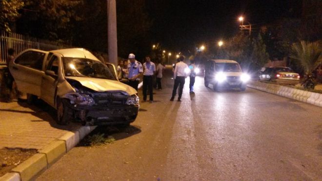 Hayvan Sevgisi Kaza Getirdi
