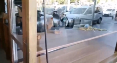 Duvarı delerek girdikleri kuyumcudan 3 kilo altın çaldılar 