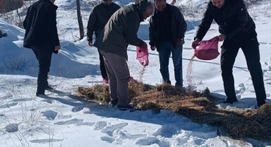 Adıyaman'da yaban hayvanları yem bırakılıyor