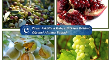 Ziraat Fakültesi Bünyesinde Bahçe Bitkileri Bölümü Açıldı