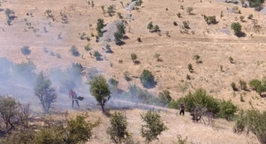 Besni'de Ot Yangını Korkuttu