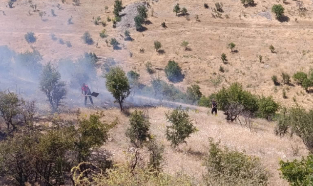 Besni'de Ot Yangını Korkuttu