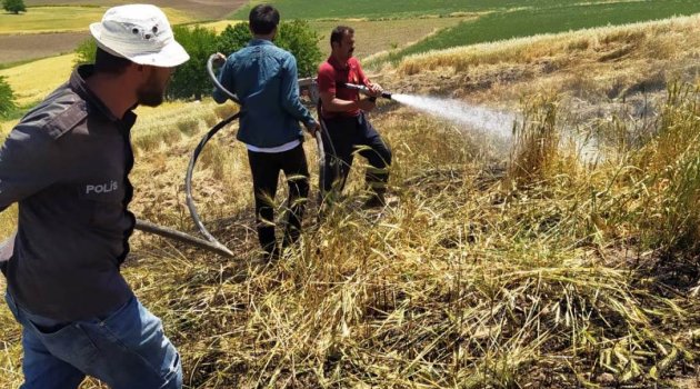 Adıyaman'da 10 Dönüm Buğday Tarlası Küle Döndü