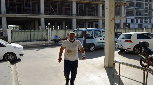 Kurban kesmeye çalışan acemi kasaplar yaralandı