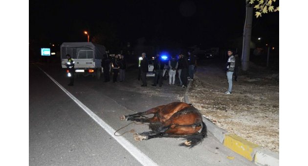 OTOMOBİL ATA ÇARPTI